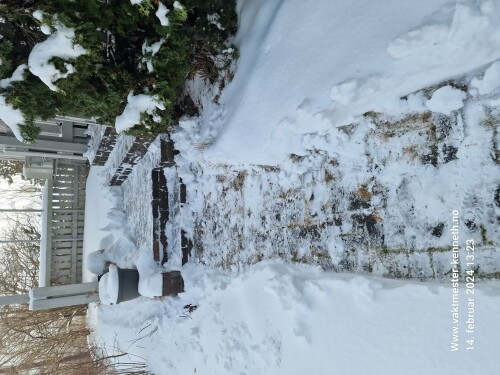 Vaktmester Kenneth AS