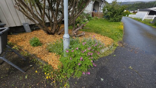 Hell Maskin - Fossum