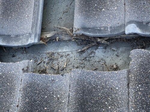 AQUAMAN SERVICE - David Jaros