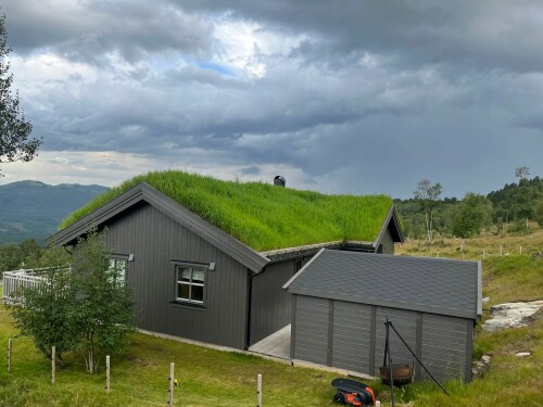 Doktor Gress På Taket AS