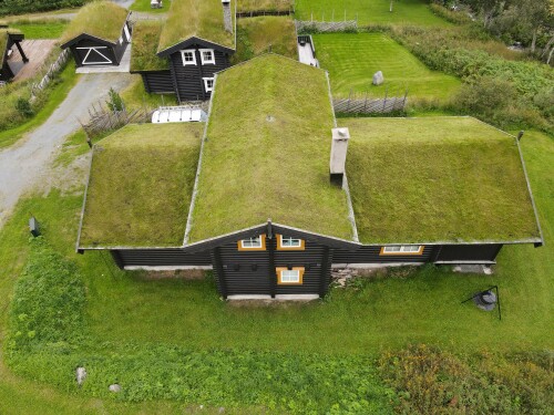 Doktor Gress På Taket AS