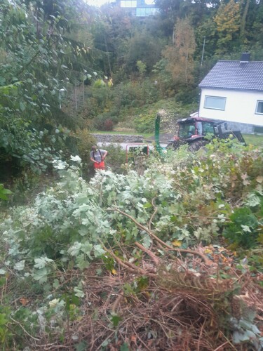 Birkeland Skog Og Maskin AS