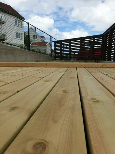 Carpenter Services Grundmanis