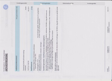 Tanangerallservice V/Robert Gramstad