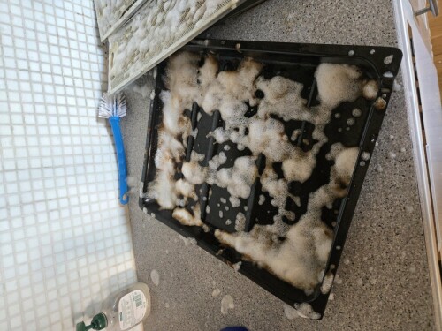 Maler & Reparasjonspartner Ceobanu