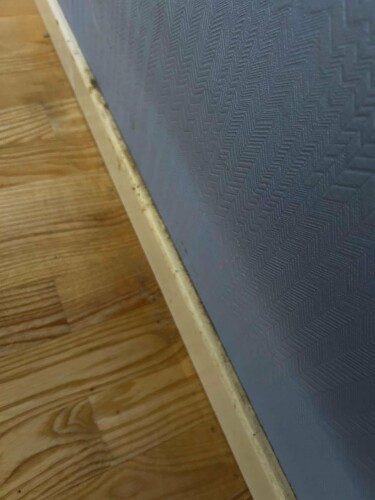 Vask For Deg - Weronika Lewandowska