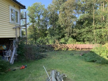 Markus Trefelling & Arborist Service Markus Trefelling & Arborist Service