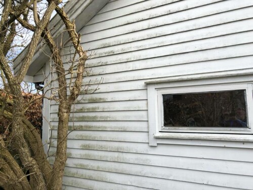 Sunnhordland Fasadevask AS