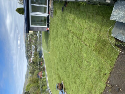 A. Zimbortas Minimaskin