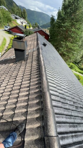 Fanebust Tak Og Fasade