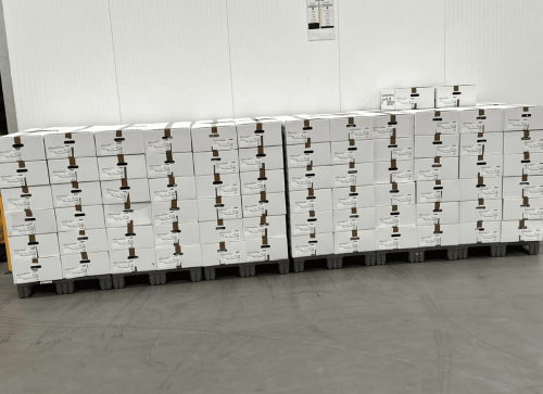 Daniel W. Transport AS