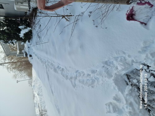 Vaktmester Kenneth AS