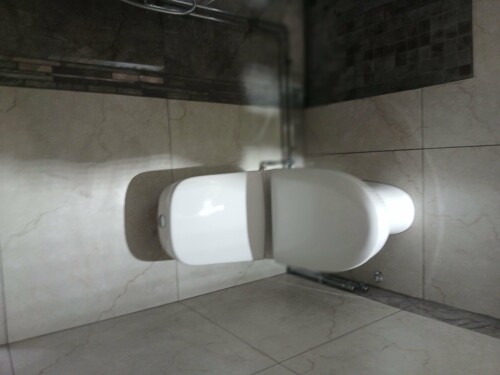 BADEROMSGJENG 1 SHAHID