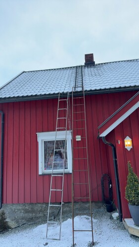 Fanebust Tak Og Fasade