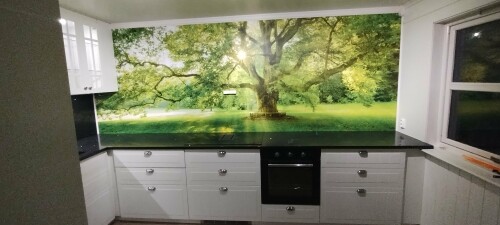 Espen Svanemsli-Dørdal