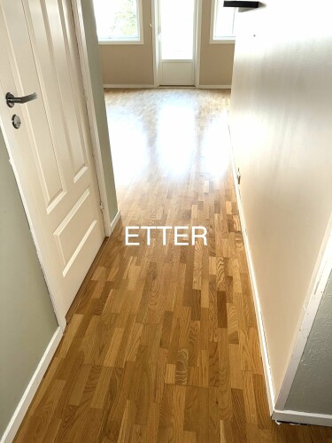 Frisk Start Renhold Omer Rasol