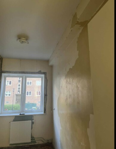 Md Barbosa Da Silva Malertjeneste