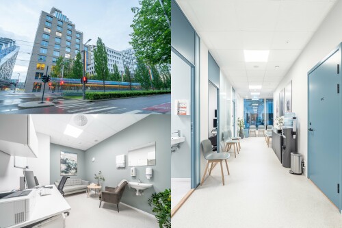 Leon Media Leon Semiray Yildirim