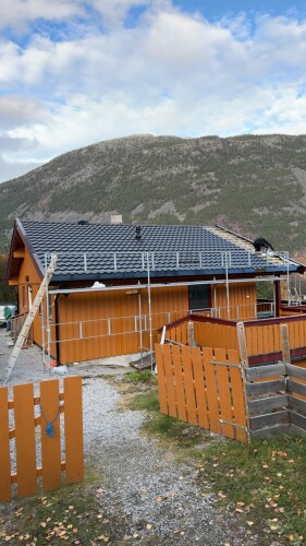 Fanebust Tak Og Fasade