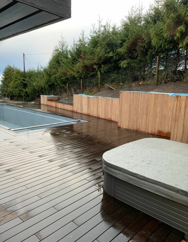 Busy Bees - Karol Pietrak