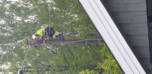 24 T Elektro AS 24 T Elektro AS