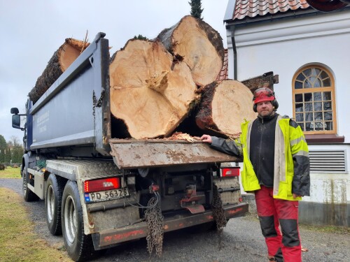 Skagerak Trepleie - Agder