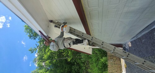 Constantin Tofolan Multiservice