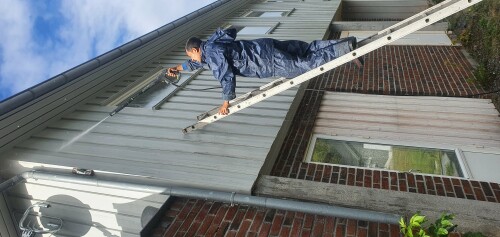 Constantin Tofolan Multiservice