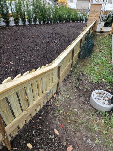 Snekker Omid Javanmiri