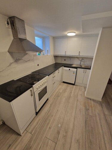 Snekker Omid Javanmiri