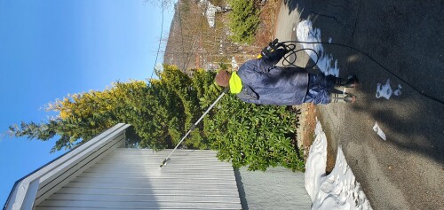 Constantin Tofolan Multiservice