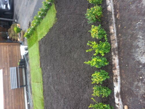 Alexander-Bogdan Bigg Mester Alexandru-Bogdan Luchian Alexander-Bogdan Bigg Mester Alexandru-Bogdan Luchian