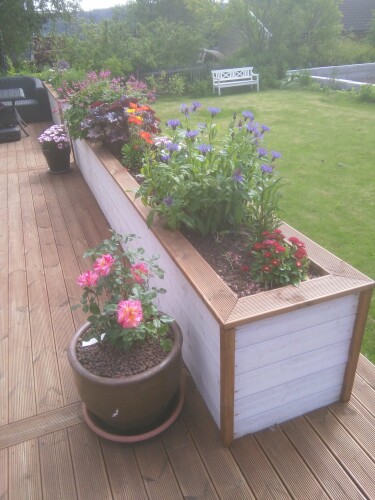 Löwenstein Tømrer AS