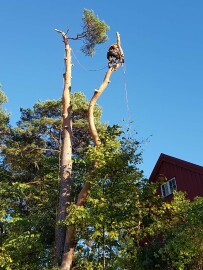 Huatorpet Håndverkertjenester