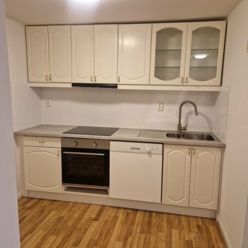 Snekker Omid Javanmiri