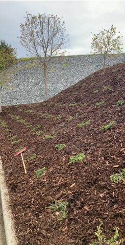 Gudøy Graveservice AS