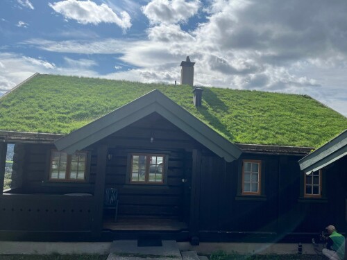 Doktor Gress På Taket AS