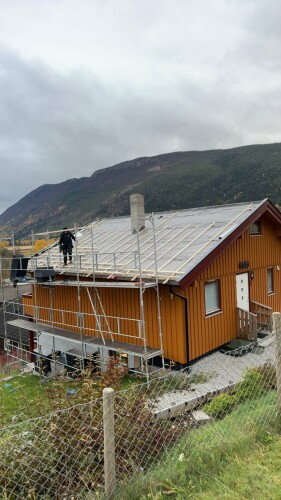 Fanebust Tak Og Fasade