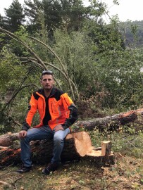 Markus Trefelling & Arborist Service Markus Trefelling & Arborist Service