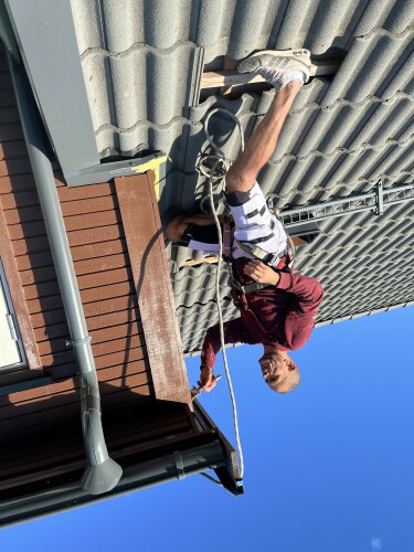 Md Barbosa Da Silva Malertjeneste