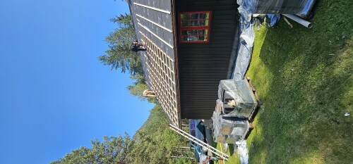 Constantin Tofolan Multiservice