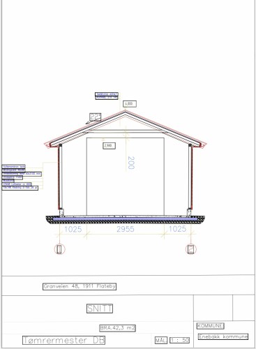 Tømrermester Darius Basinskas