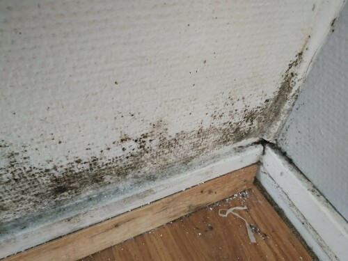 Renovering & Farge AS Renovering & Farge AS
