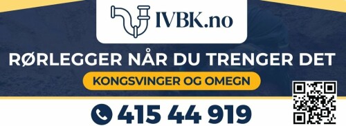 Innlandet Og Viken Byggkonsult AS