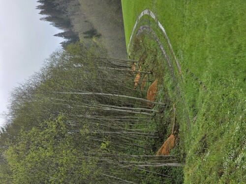 Hell Maskin - Fossum