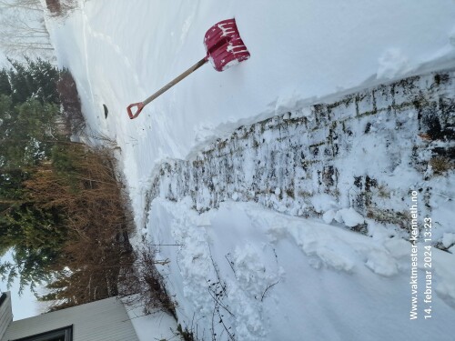 Vaktmester Kenneth AS