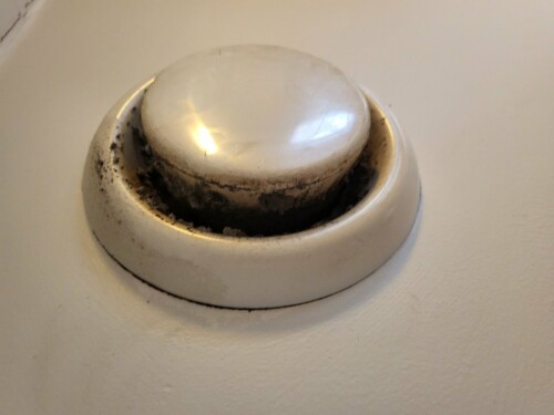 Maler & Reparasjonspartner Ceobanu