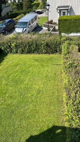 Ip Bygg Og Hage Puduls