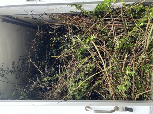 Pilen Flyttebyrå AS