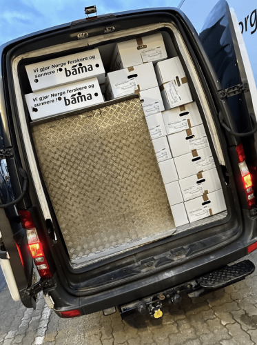 Daniel W. Transport AS